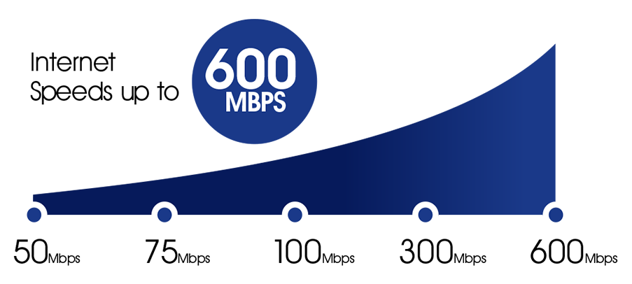 Business High Speed Internet and Fiber Network - TDS Business